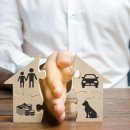 고양이나라 이미지