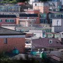 강서구-64 이미지