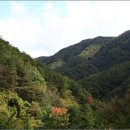 인제자연학교 캠핑장 이미지