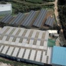 365일에너지태양광발전소 이미지