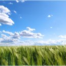 평화로운가족 이미지