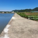 고성탑공인중개사사무소 이미지