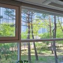 트리풀일등공인중개사사무소 이미지