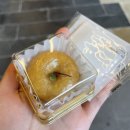 채영사진관 이미지