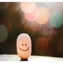 한주 태양광발전소 이미지