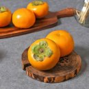 안동고옹민박 이미지