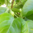 명인상사 이미지