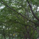 듀잇(DEW IT) | 🐳 영천 듀잇카페(DEW IT) 방문 후기