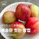 다몰2 | 신비복숭아 씻는 방법 추천 베이킹소다 활용법 후기