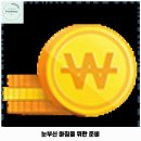 야탑1동 | 야탑1동 애견카페 올리브펫 가격 및 후기 추천 리뷰 주차 예약 알아볼까요