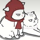 스완코코 이미지
