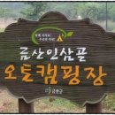 세븐일레븐 광주임동점 이미지