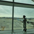 643 | [싱가포르 여행] ✈️ 대한항공 KE643, KE644 탑승&amp;기내식 후기