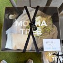 모카트리 | W41. 모카트리 :: 강릉 본식 웨딩 부케 후기