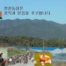 연천양계 이미지