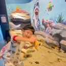 ㈜경포아쿠아리움 | 📍 강릉 경포 아쿠아리움 아이랑 다녀온 후기 🐠