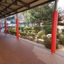 대구남산초등학교 이미지