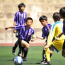 동곡초등학교2 이미지