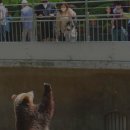 주식회사 농업회사법인 푸른 이미지