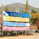 시 지정게시대(세로형 게시대) 이미지