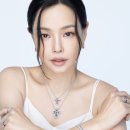 다미아니 카카오 검색결과