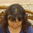 반듯한 멍이 이미지