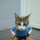 다비드PC 이미지