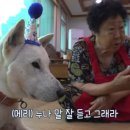 메리랑 메롱이네 이미지