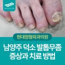일신외과의원 네이버블로그