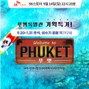지금기획 티스토리