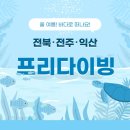 서해환경 | 물중독 크루 I 전북 서해 프리다이빙 후기｜전북 프리다리빙 I 전주 프리다이빙