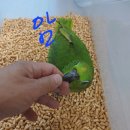 엘로우케어 이미지