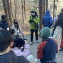 숲 체험 리틀 포레스트 이미지