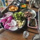 별빛아리수 이미지