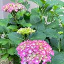 용천어린이공원 이미지