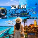 오키나와 버스투어 추천 북부 투어 코스 츄라우미수족관 입장료 포함 후기