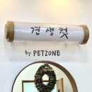 펫존&견생컷 이미지