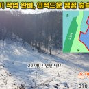 [영월토지 982㎡ // 1천8백만원] 청정 숲을 접한 산자락 자연인 터... 이미지