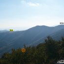 청산목장 Daum카페