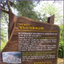 행주나루길 이미지