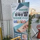 네일도 보나