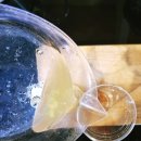 썬오락실 이미지