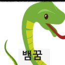 큰뱀나오는꿈 뱀많이나오는꿈 흰뱀나오는꿈 해몽 이미지
