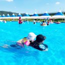 금화오리농장 | 대구 근교 물놀이 칠곡 물놀이장 수영장 10곳 모아봤어