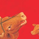 소 이야기 이미지