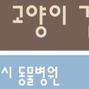 동물병원 유피 이미지