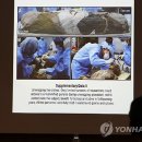 향호1리 이미지