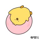 제이짐 이미지