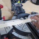 애니멀 하우스 이미지