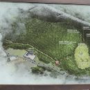 방학동 은행나무 이미지